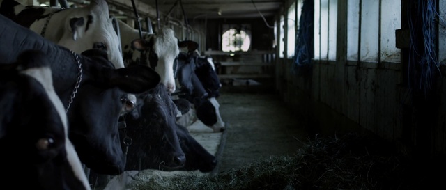 Video Reference N2: darkness, dairy, night, Person