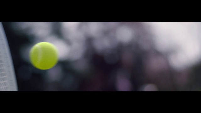 Video Reference N2: Nature, Sky, Tennis ball, Light, Atmosphere, Ball, Yellow, Photography, Macro photography, Tree