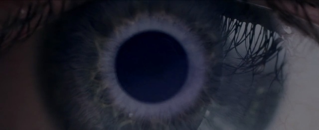 Video Reference N1: Eye, Iris, Blue, Organ, Eyelash, Close-up, Sky, Human body, Circle, Photography