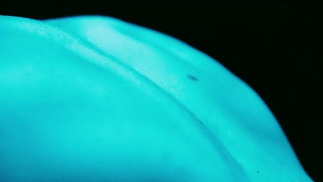 Video Reference N2: Blue, Green, Aqua, Water, Turquoise, Close-up, Teal, Macro photography, Azure, Turquoise