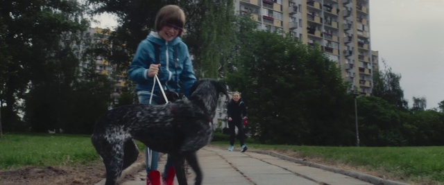 Video Reference N3: Dog, Mammal, Vertebrate, Dog breed, Canidae, Leash, Dog walking, Carnivore, Sporting Group, Obedience training
