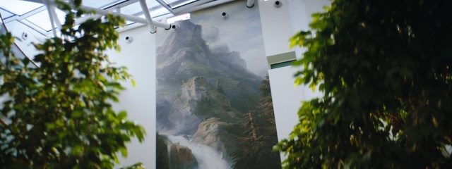 Video Reference N1: Nature, Vegetation, Water, Tree, Landscape, Mural, Plant, Hill station, Waterfall