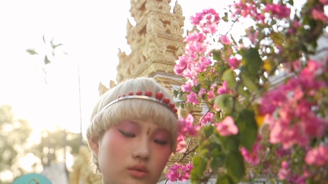 Video Reference N0: flower, pink, plant, spring, flowering plant, petal, rose family, girl, tree, blossom, Person