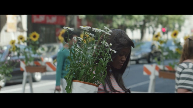Video Reference N1: plant, tree, flower, vehicle, street, recreation, grass, fun