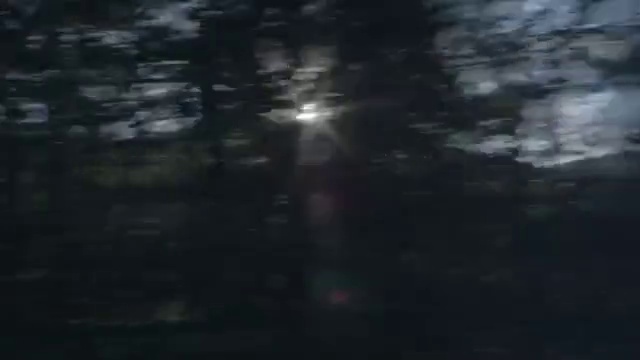 Video Reference N8: Nature, Black, Darkness, Atmosphere, Light, Sky, Natural environment, Atmospheric phenomenon, Tree, Sunlight