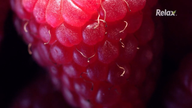 Video Reference N1: Red, Berry, Macro photography, Fruit, Close-up, Raspberry, Pink, Plant, Water, Accessory fruit