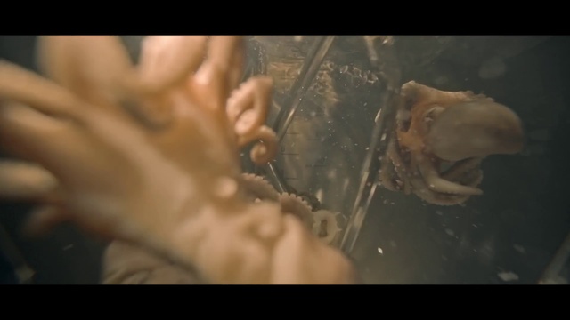 Video Reference N1: Water, Hand, Human, Organism, Mouth, Flesh, Art