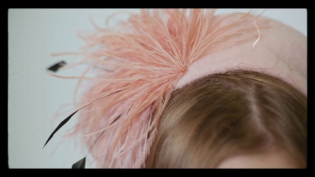 Video Reference N0: Hair, Eyebrow, Hairstyle, Blond, Forehead, Close-up, Hair coloring, Feather, Brown hair, Fashion accessory
