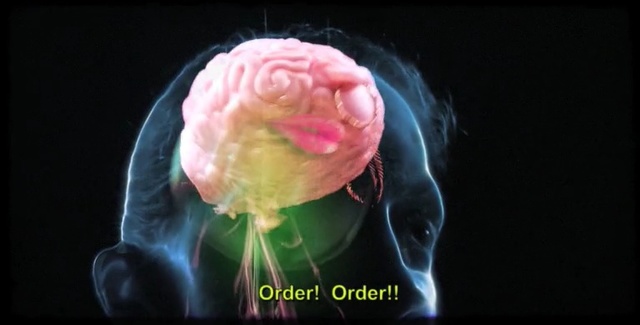 Video Reference N4: organism, organ, brain, computer wallpaper, petal