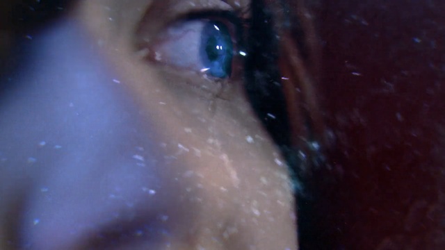 Video Reference N1: Face, Eye, Eyebrow, Skin, Blue, Iris, Close-up, Nose, Head, Organ