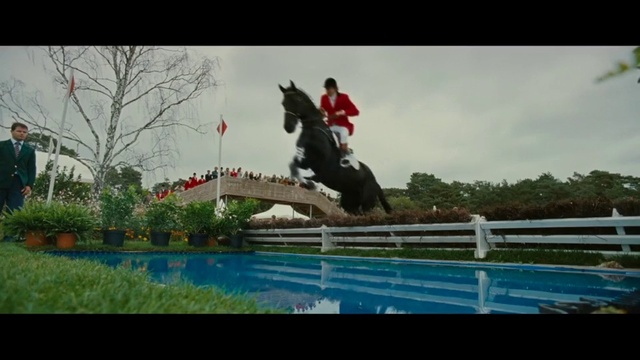 Video Reference N1: Jumping, Horse, Eventing, Show jumping, Jumping, English riding, Recreation, Equestrianism, Sports, Equestrian sport