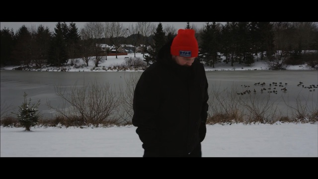 Video Reference N2: snow, winter, photograph, freezing, water, tree, ice, sky, fun, geological phenomenon, Person