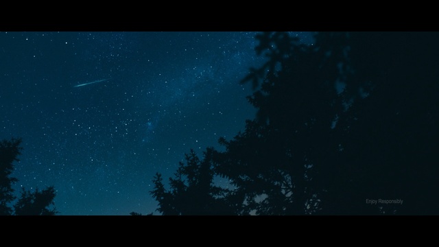 Video Reference N2: Sky, Nature, Black, Atmosphere, Night, Blue, Darkness, Astronomical object, Space, Tree