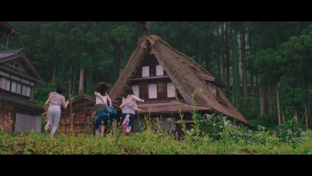 Video Reference N2: Jungle, Hut, Rural area, Tree, House, Adaptation, Shack, Forest, Leaf, Log cabin