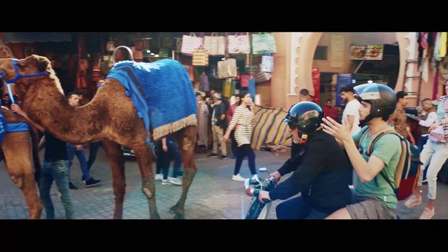 Video Reference N1: Camel, Camelid, Arabian camel, Mode of transport, Turban, Photography, Fun, Selfie, Adaptation, Livestock, Person