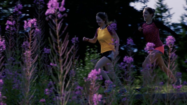 Video Reference N5: Lavender, Purple, Flower, Plant, Violet, English lavender, Spring, Organism, Wildflower, Person, Outdoor, Girl, Woman, Young, Grass, Child, Playing, Man, Riding, Green, Little, Field, Pink, Holding, Standing, Walking, Group, Hill, People, Skiing, Ball, Tree, Clothing