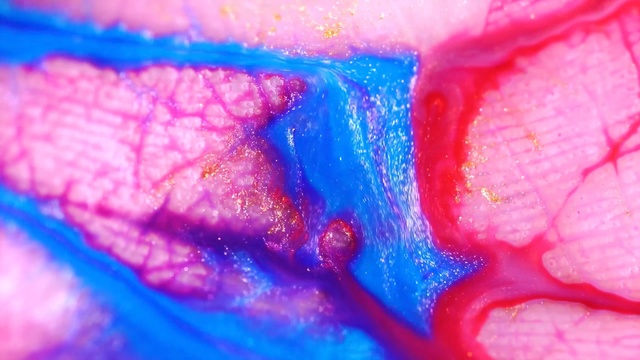 Video Reference N3: Blue, Close-up, Pink, Water, Colorfulness, Macro photography, Magenta, Mouth, Photography, Dye