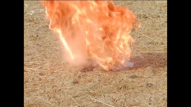 Video Reference N0: fire, ecosystem, flame, explosion, grass, geological phenomenon, heat, wood, Person