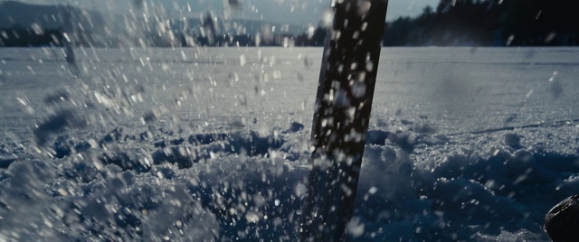 Video Reference N1: Water, Sky, Winter, Freezing, Urban area, Snow, Tree, Ice, Reflection, Architecture