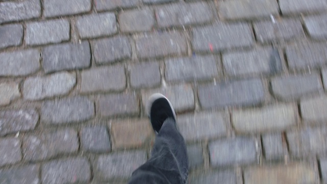 Video Reference N0: Wall, Brickwork, Footwear, Brick, Shoe, Cobblestone, Roof, Flooring, Cat, Sitting, Building, Black, Man, Wooden, Bench, Bird, Gray, Standing, Head, Dog, Walking, Computer, White, Street, Blurry, Perched, Jeans, Trousers
