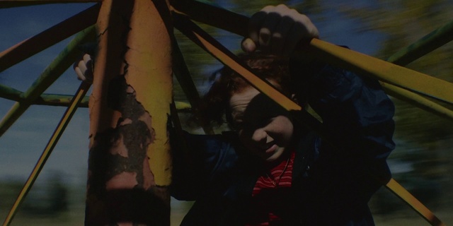 Video Reference N4: Tree, Fun, Plant, Black hair