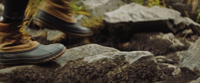 Video Reference N0: Footwear, Shoe, Rock, Tree, Leg, Soil, Boot