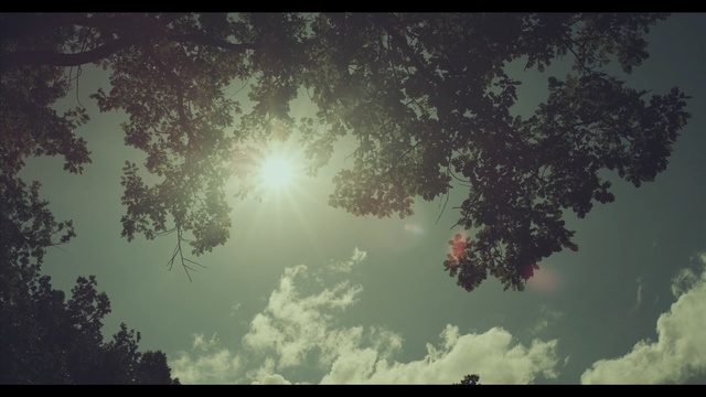 Video Reference N0: Sky, Cloud, Nature, Daytime, Green, Atmosphere, Tree, Atmospheric phenomenon, Light, Leaf