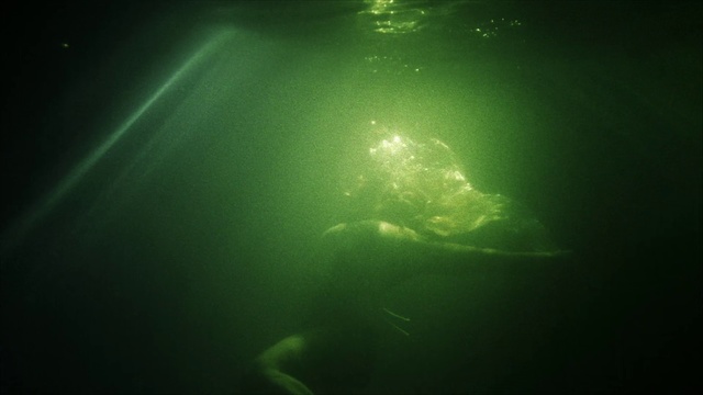 Video Reference N1: Green, Water, Light, Underwater, Sky, Organism, Sunlight, Darkness, Photography, Sea