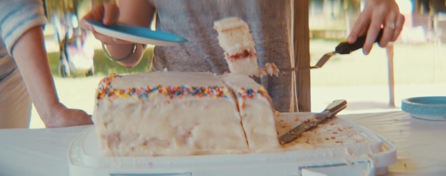 Video Reference N5: dessert, cake, cake decorating, sweetness, icing, buttercream, baking, torte, dairy product, food, Person