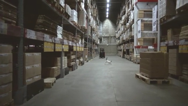 Video Reference N0: warehouse, building, inventory