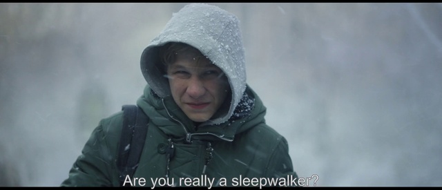 Video Reference N3: Snow, Winter, Freezing, Head, Outerwear, Snapshot, Smile, Fun, Winter storm, Human