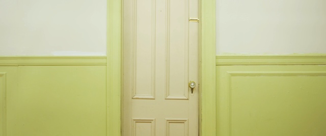 Video Reference N2: yellow, property, room, wall, wood, door, floor, paint, wood stain, molding