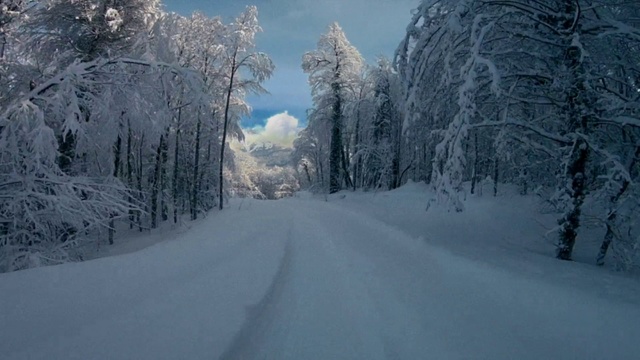 Video Reference N4: Snow, Winter, Nature, Natural landscape, Tree, Frost, Freezing, Atmospheric phenomenon, Sky, Natural environment