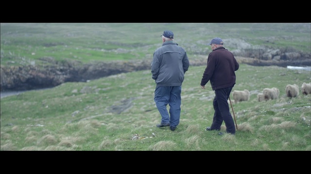 Video Reference N1: Grassland, Pasture, Highland, Grass, Hill, Meadow, Fell, Walking, Ecoregion, Rural area, Person