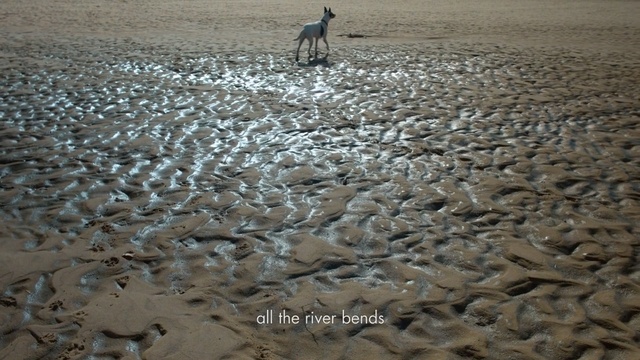 Video Reference N1: Mudflat, Sand, Drought, Landscape, Soil, Mud, Camel