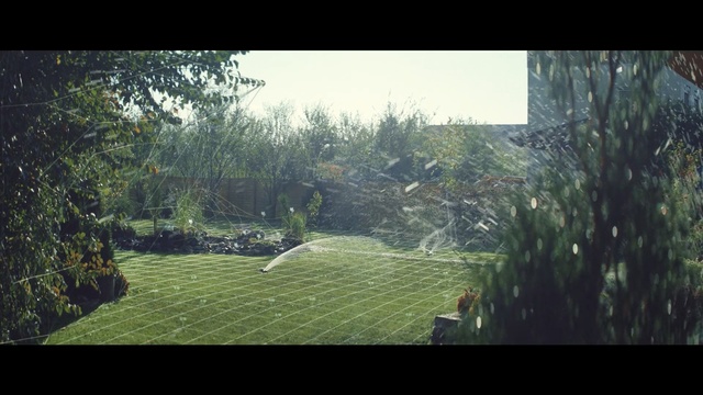Video Reference N0: Nature, Lawn, Grass, Green, Tree, Land lot, Grass, Leaf, Biome, Morning