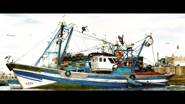 Video Reference N0: Boat, Fishing vessel, Vehicle, Fishing trawler, Watercraft, Ship, Water transportation, Naval trawler, Harbor