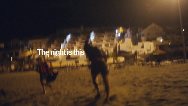 Video Reference N3: Night, Fun, Landscape, Crowd, Horse