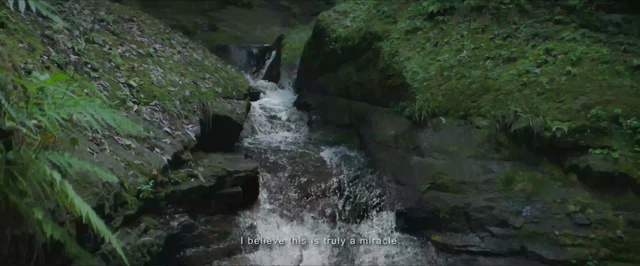 Video Reference N2: nature reserve, body of water, waterfall, water resources, watercourse, vegetation, stream, water, ravine, water feature