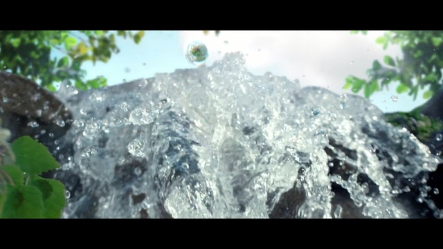 Video Reference N1: Nature, Water, Rock, Leaf, Organism, Mineral, Geology, Tree, Plant, Screenshot