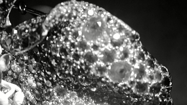 Video Reference N1: water, black and white, black, monochrome photography, photography, bling bling, monochrome, organism, macro photography, still life photography