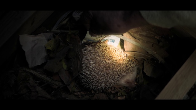 Thumbnail