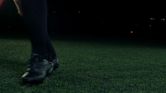 Video Reference N2: Black, Grass, Green, Human leg, Footwear, Leg, Lawn, Darkness, Atmosphere, Shoe