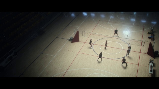 Video Reference N3: Basketball court, Line, Floor, Basketball, Sport venue, Space
