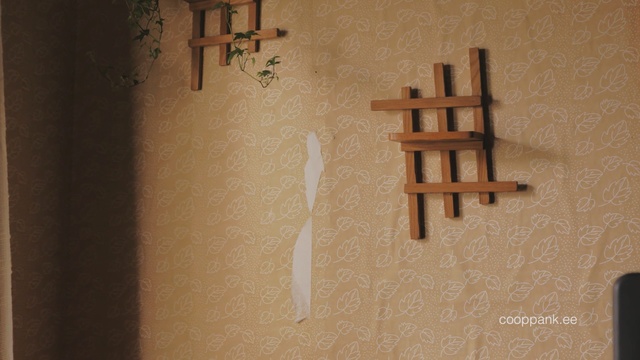 Video Reference N4: Wall, Wood