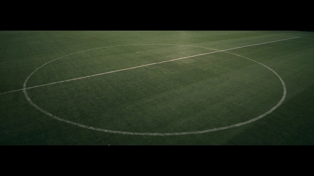 Video Reference N0: Sport venue, Green, Grass, Leaf, Stadium, Circle, Line, Atmosphere, Football, Plant
