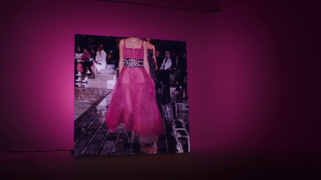 Video Reference N4: Dress, Pink, Photograph, Clothing, Gown, Magenta, Purple, Fashion, Formal wear, Violet