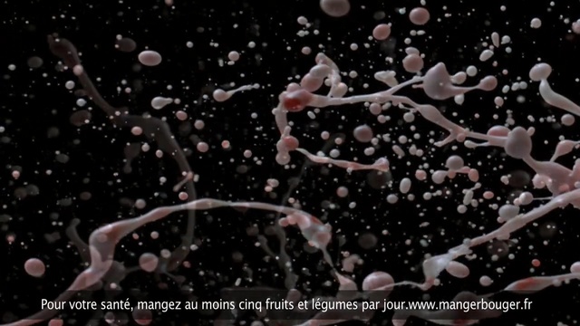 Video Reference N4: organism, computer wallpaper, branch, water, darkness, tree, space