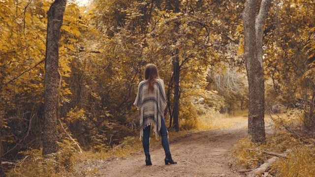 Video Reference N1: nature, woodland, tree, path, forest, woody plant, wilderness, leaf, autumn, plant, Person