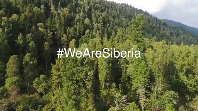 Video Reference N1: Tree, Vegetation, Tropical and subtropical coniferous forests, Forest, Nature reserve, Biome, Natural environment, Temperate broadleaf and mixed forest, Plant community, Woody plant